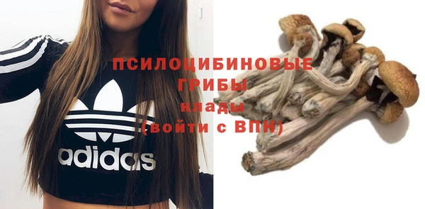 MESCALINE Белокуриха