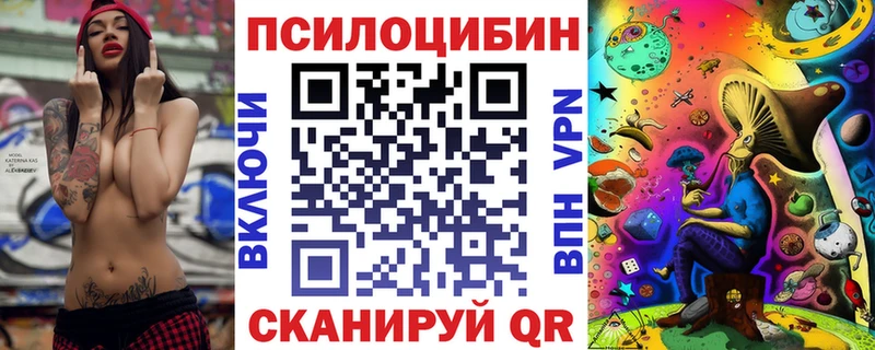 закладки  Ижевск  Галлюциногенные грибы прущие грибы 